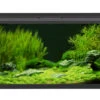 EHEIM AquaproLED 180 Schwarz - Aquarienset -AQUATLATI Geschaft 0341098 EHEIM aquaproLED 180 schwarz 01
