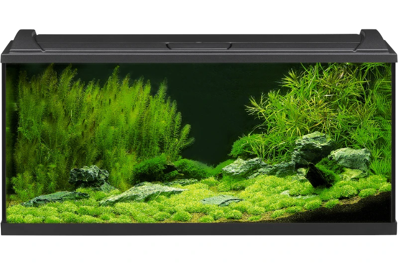 EHEIM AquaproLED 180 Schwarz - Aquarienset 3 EHEIM AquaproLED 180 Schwarz - Aquarienset