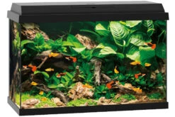 Juwel Primo 70 Schwarz Aquarium-Set 8 Juwel Primo 70 Schwarz Aquarium-Set -AQUATLATI Geschaft 13j25370 Juwel Primo 70 schwarz 3