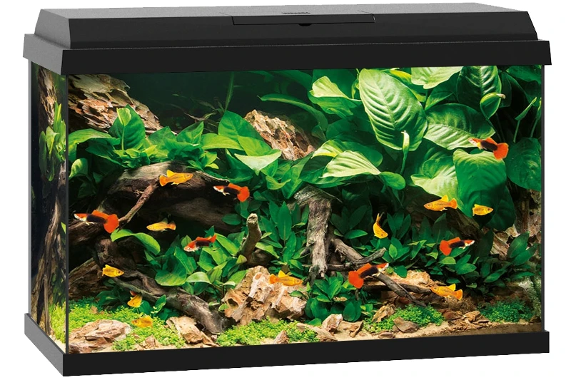 Juwel Primo 70 Schwarz Aquarium-Set 5 Juwel Primo 70 Schwarz Aquarium-Set – Bild 3