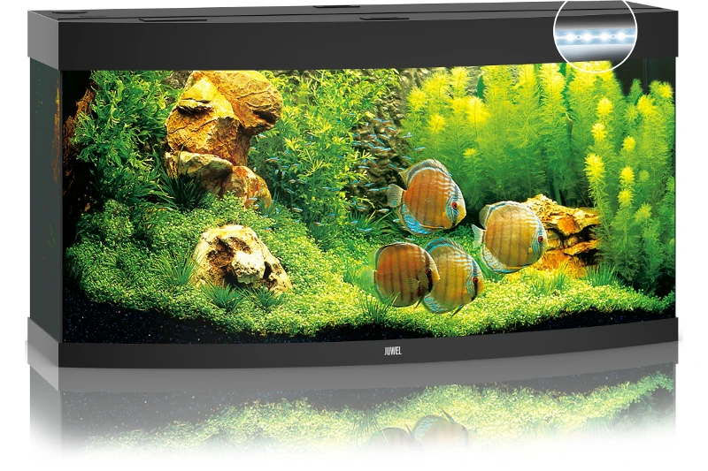 Juwel Vision 260 LED Schwarz Aquarium-Set 6 Juwel Vision 260 LED Schwarz Aquarium-Set – Bild 4