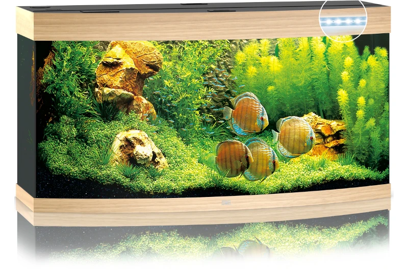 Juwel Vision 260 LED Helles Holz Aquarium-Set 4 Juwel Vision 260 LED Helles Holz Aquarium-Set – Bild 2