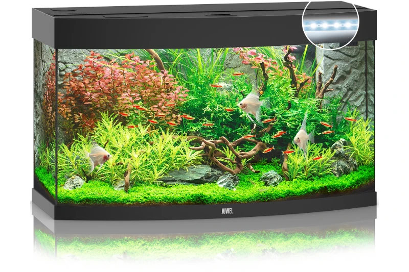 Juwel Vision 180 LED Schwarz Aquarium-Set 4 Juwel Vision 180 LED Schwarz Aquarium-Set - Image 2