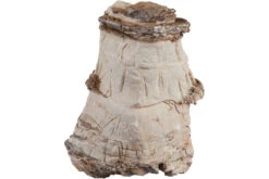 Sera Rock Asian Pagoda XXL • Ca. 6 Kg -AQUATLATI Geschaft 32351 Sera Rock Asian Pagoda small bis middle 0 6 1 4 kg 2
