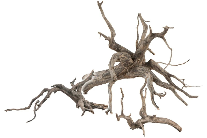 Sera Scaper Root M • 30,0 Bis 35,0 Cm 3 Sera Scaper Root M • 30,0 Bis 35,0 Cm