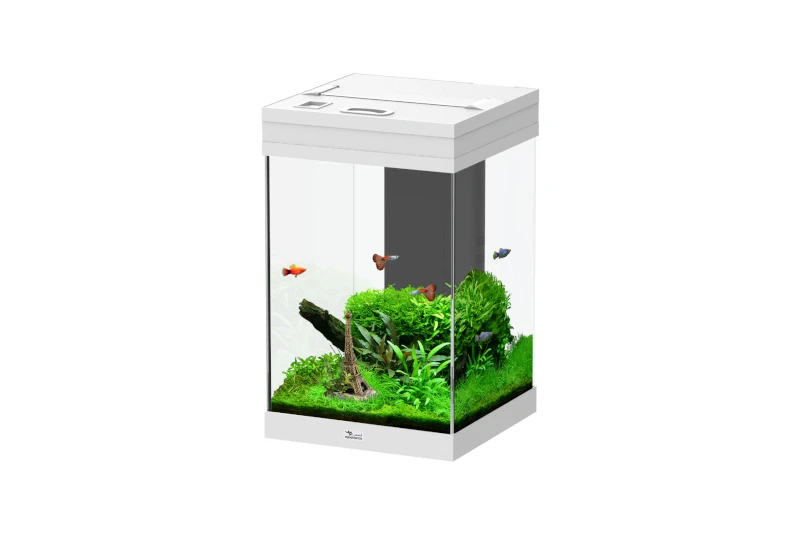 Aquatlantis Aqua Tower 43 Weiß Aquarium 3 Aquatlantis Aqua Tower 43 Weiß Aquarium