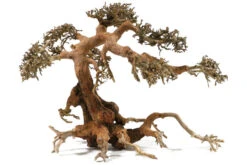 Aquadeco Aqua-Bonsai M, 23-30 Cm -AQUATLATI Geschaft Aquadeco Aqua Bonsai 3