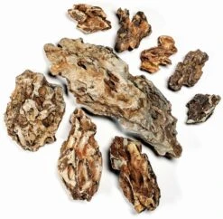 Aquadeco Drachenstein Dekoset Für 80 Cm Aquarium -AQUATLATI Geschaft Aquadeco Drachenstein 60 P 3