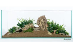 Aquadeco Drachenstein Dekoset Für 100 Cm Aquarium 9 Aquadeco Drachenstein Dekoset Für 100 Cm Aquarium -AQUATLATI Geschaft Aquadeco Drachenstein Dekoset 3
