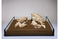 Aquadeco Helle Pagode Dekoset Für 100 Cm Aquarium -AQUATLATI Geschaft Aquadeco Helle Pagode 1 1