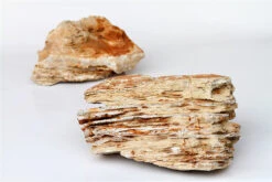 Aquadeco Helle Pagode Dekoset Für 120 Cm Aquarium -AQUATLATI Geschaft Aquadeco Helle Pagode 2 4