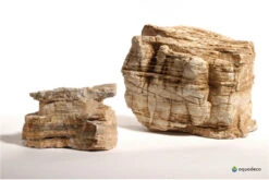 Aquadeco Helle Pagode Dekoset Für 120 Cm Aquarium -AQUATLATI Geschaft Aquadeco Helle Pagode 4 3