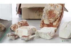 Aquadeco Helle Pagode Dekoset Für 120 Cm Aquarium