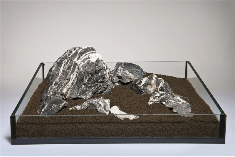 Aquadeco Leopardenstein 2,3-2,7 Kg (P10) 4 Aquadeco Leopardenstein 2,3-2,7 Kg (P10) - Image 2