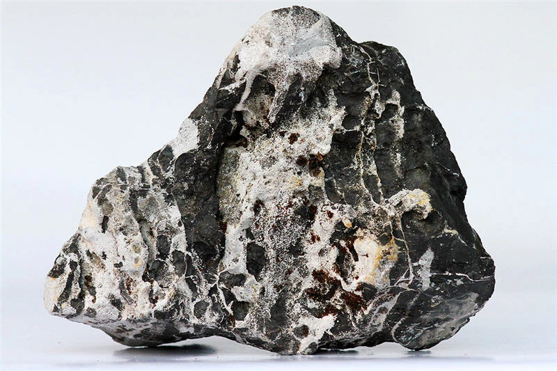 Aquadeco Leopardenstein 2,3-2,7 Kg (P10) 3 Aquadeco Leopardenstein 2,3-2,7 Kg (P10)