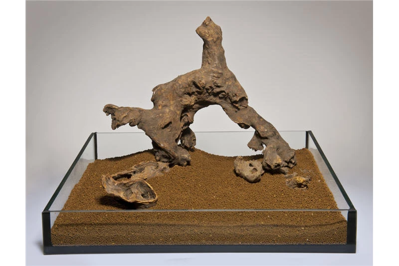 Aquadeco Savannenholz, Gestrahlt, 15-30 Cm (P20) 4 Aquadeco Savannenholz, Gestrahlt, 15-30 Cm (P20) - Image 2