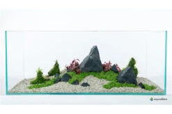 Aquadeco Schwarzer Felsen Dekoset Für 120 Cm Aquarium -AQUATLATI Geschaft Aquadeco Schwarzer Felsen Dekoset 2 2