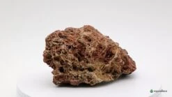 Aquadeco Versteinertes Laub Dekoset Für 120 Cm Aquarium -AQUATLATI Geschaft Aquadeco Versteinertes Laub 2