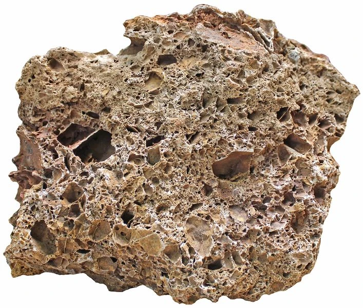 Aquadeco Versteinertes Laub Dekoset Für 100 Cm Aquarium 5 Aquadeco Versteinertes Laub Dekoset Für 100 Cm Aquarium - Image 3