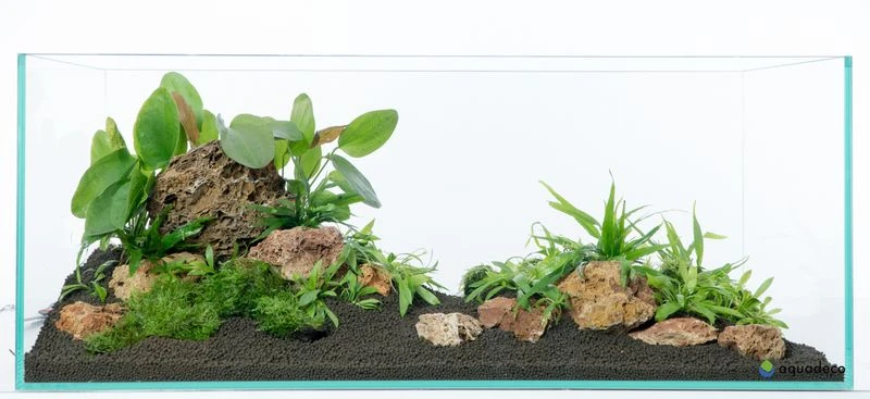 Aquadeco Versteinertes Laub Dekoset Für 100 Cm Aquarium 7 Aquadeco Versteinertes Laub Dekoset Für 100 Cm Aquarium - Image 5