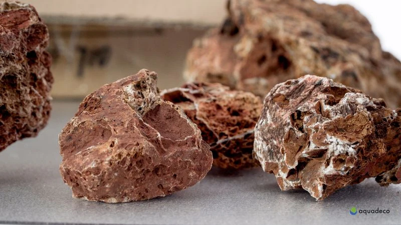 Aquadeco Versteinertes Laub Dekoset Für 100 Cm Aquarium 3 Aquadeco Versteinertes Laub Dekoset Für 100 Cm Aquarium