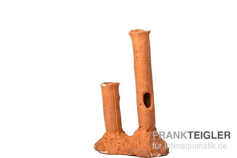 Aquariumkeramik Garnelenstamm Doppelt Terrakotta 3 Aquariumkeramik Garnelenstamm Doppelt Terrakotta