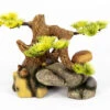 Aquatlantis Bonsai Auf Stein