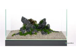 Aquadeco Mini-Landschaft BLACK Dekoset Für 60 Cm Aquarium -AQUATLATI Geschaft Dekoset Minilandschaft Dark 2 4