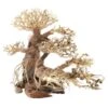 Dupla Bonsai L, Handgemachte Aquariendeko 2 Dupla Bonsai L, Handgemachte Aquariendeko -AQUATLATI Geschaft Dupla Bonsai L 2
