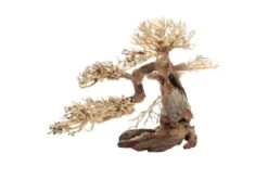Dupla Bonsai L, Handgemachte Aquariendeko -AQUATLATI Geschaft Dupla Bonsai L 3