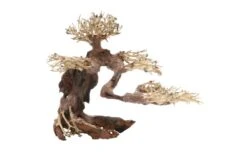 Dupla Bonsai M, Handgemachte Aquariendeko