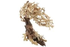 Dupla Crooked Root M, Handgemachte Aquariendeko -AQUATLATI Geschaft Dupla Crooked Root M 3