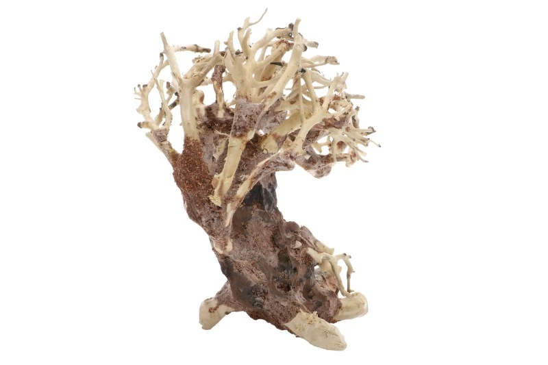 Dupla Crooked Root S, Handgemachte Aquariendeko 5 Dupla Crooked Root S, Handgemachte Aquariendeko - Image 3