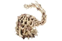 Dupla Wizard Root M, Handgemachte Aquariendeko -AQUATLATI Geschaft Dupla Wizard Root M 3