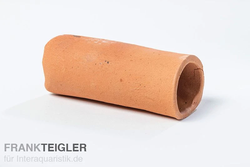 Aquariumkeramik Fronteingangshöhle Wels Giga Terrakotta 3 Aquariumkeramik Fronteingangshöhle Wels Giga Terrakotta