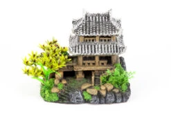 Aquatlantis Haus Asien