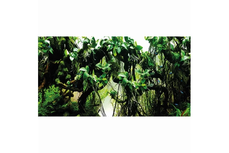 Hobby Fotorückwandzuschnitt Pearl River/Deep Delta, 120 Cm X 50 Cm 4 Hobby Fotorückwandzuschnitt Pearl River/Deep Delta, 120 Cm X 50 Cm – Bild 2