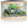 Juwel Aquarium Trigon 190 LED, Helles Holz -AQUATLATI Geschaft Juwel Aquarium Trigon 190 LED helles Holz