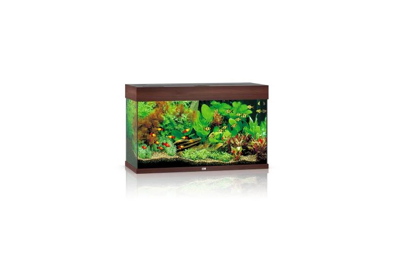 Juwel Rio Aquarium 125 LED, Dunkles Holz 3 Juwel Rio Aquarium 125 LED, Dunkles Holz