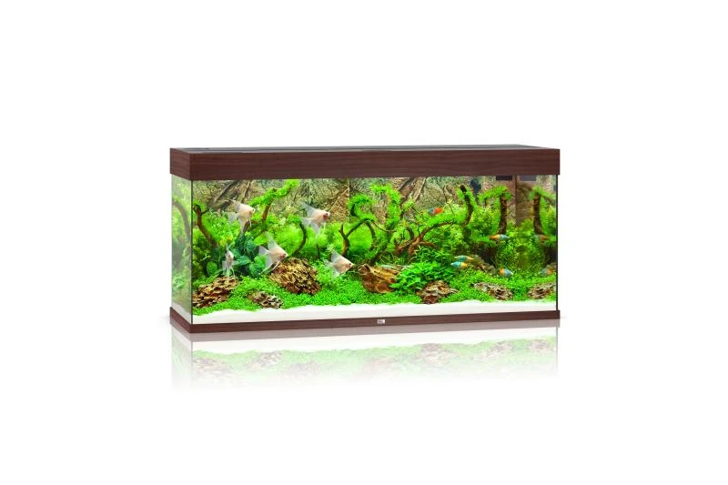 Juwel Rio Aquarium 240 LED, Dunkles Holz 3 Juwel Rio Aquarium 240 LED, Dunkles Holz