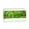 Juwel Rio Aquarium 240 LED, Weiß 2 Juwel Rio Aquarium 240 LED, Weiß -AQUATLATI Geschaft Juwel Rio 240 Aquarium white 03400 l
