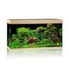 Juwel Aquarium Rio 350 LED, Helles Holz -AQUATLATI Geschaft Juwel Rio 350 light wood 07800 l