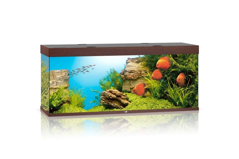 Juwel Rio Aquarium 450 LED, Dunkles Holz 3 Juwel Rio Aquarium 450 LED, Dunkles Holz