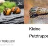 Kleine Putz-Truppe: 3x Rennschnecke + 5x Turmdeckelschnecke 2 Kleine Putz-Truppe: 3x Rennschnecke + 5x Turmdeckelschnecke -AQUATLATI Geschaft Kleine Putz Truppe 3 x Rennschnecke 5 x Turmdeckelschnecke
