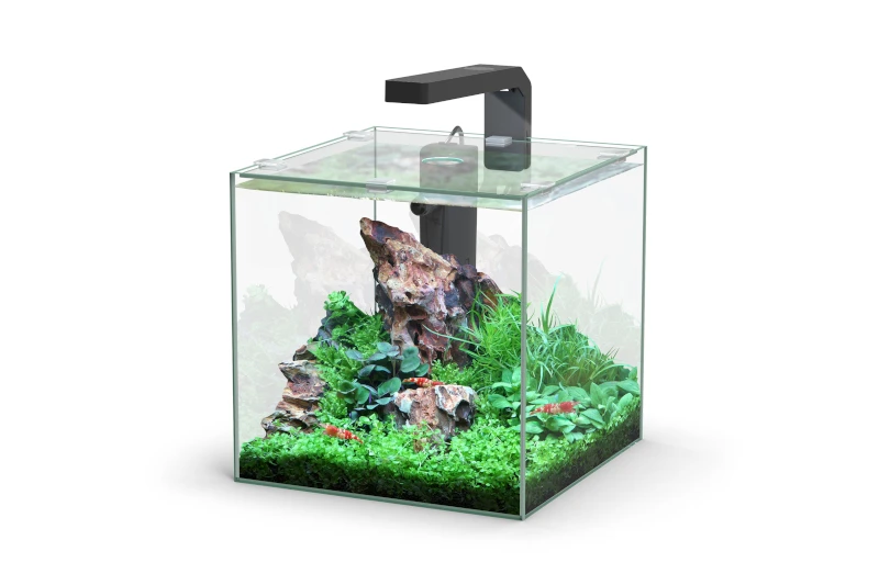 Aquatlantis Kubus 10 L LED Aquarienset 3 Aquatlantis Kubus 10 L LED Aquarienset