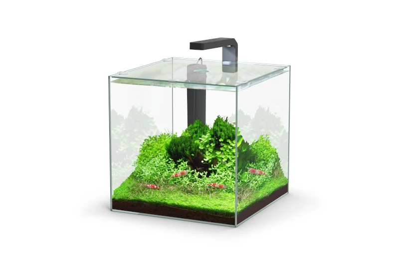 Aquatlantis Kubus 22 L LED Aquarienset 3 Aquatlantis Kubus 22 L LED Aquarienset