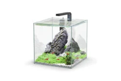 Aquatlantis Kubus 33 L LED Aquarienset