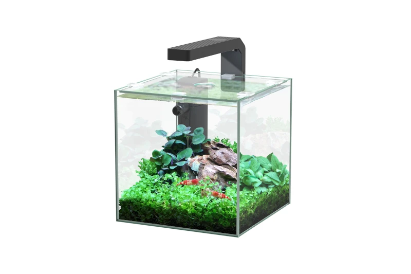 Aquatlantis Kubus 5 L LED Aquarienset 3 Aquatlantis Kubus 5 L LED Aquarienset