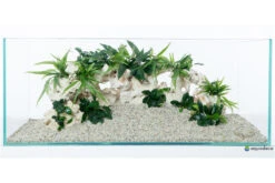 Aquadeco Lochgestein Dekoset Für 120 Cm Aquarium 9 Aquadeco Lochgestein Dekoset Für 120 Cm Aquarium -AQUATLATI Geschaft Lochgestein Dekoset 2 2