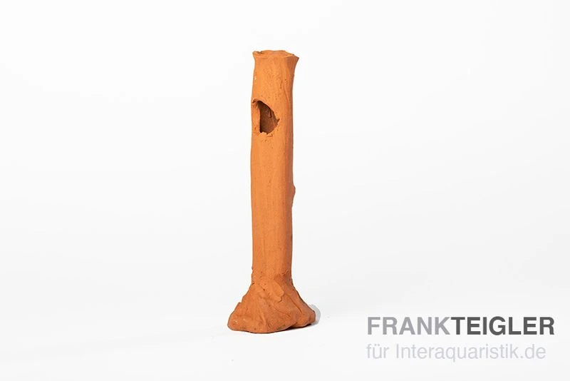 Aquariumkeramik Garnelenstamm Midi Terrakotta 3 Aquariumkeramik Garnelenstamm Midi Terrakotta